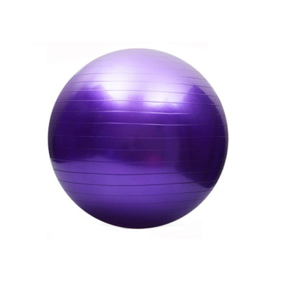 М'яч для фітнесу (фітбол) 75 см Rising Anti Burst Gym Ball (Кольори -синій та фіолетовий) М'яч для фітнесу (фітбол) 75 см Rising Anti Burst Gym Ball (Кольори -синій та фіолетовий)