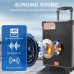 Колонка акустична акумуляторна з без дротовим мікрофоном, пультом, USB, SD, FM, AUX, Bluetooth та двома ручками, 40ват, 41см*26см*23см JQS908S