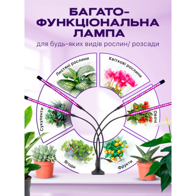 Светодиодная фитолампа с 4 гибкими лампами для цветов и рассады Светодиодная фитолампа с 4 гибкими лампами для цветов и рассады