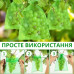 Защитные мешочки 10 штук из органзы для винограда и фруктов 30x20 см, зелёные, многоразовые